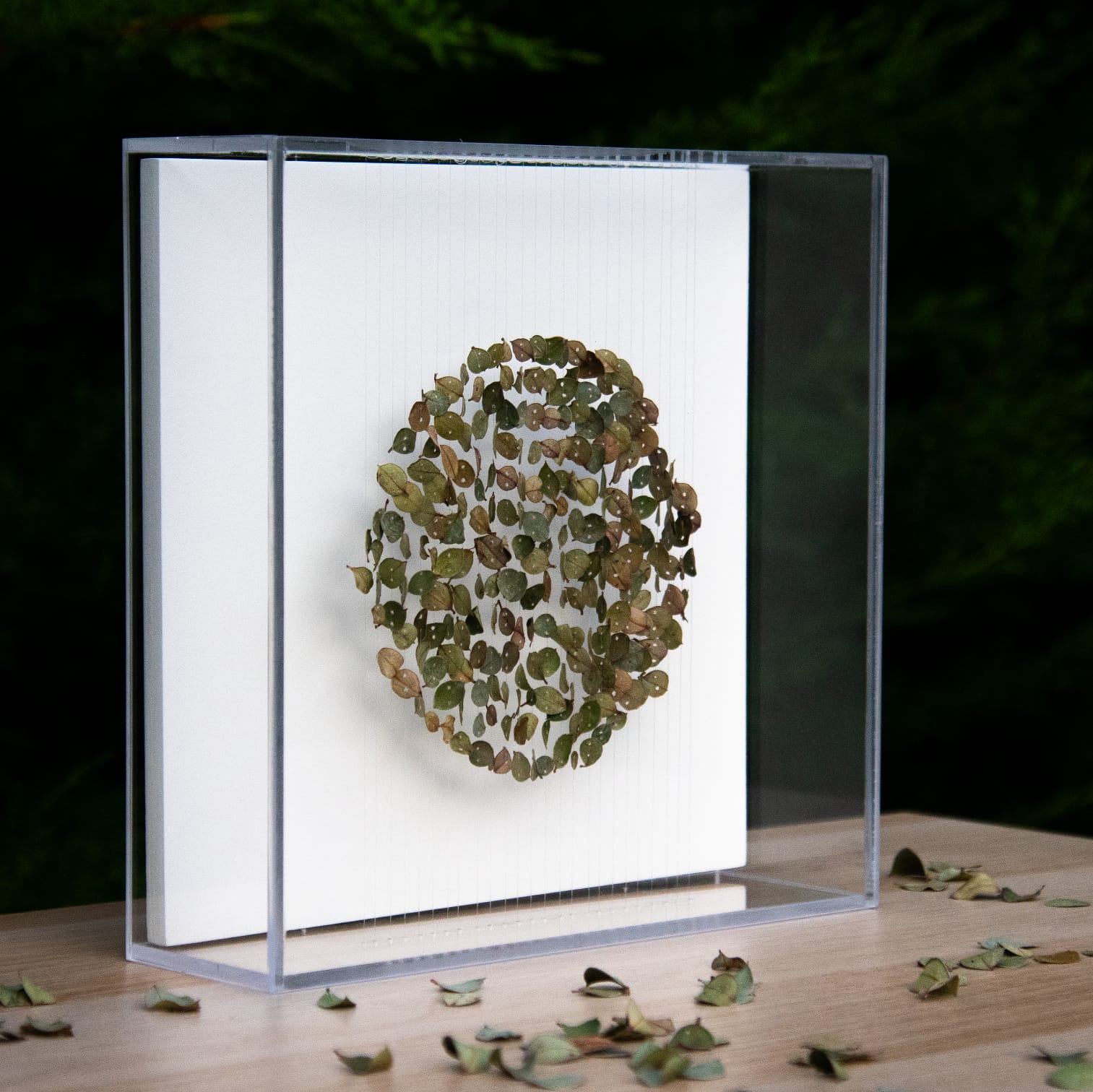 WhatsApp Image 2026-01-14 at 10.20.59